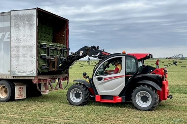 Telehandlers loading square bales into semi trailer
