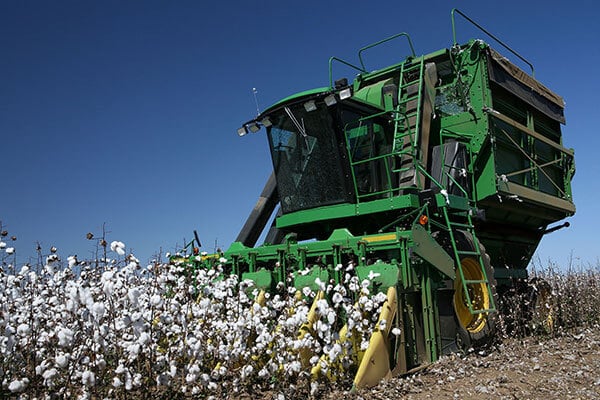 Cotton Harvester