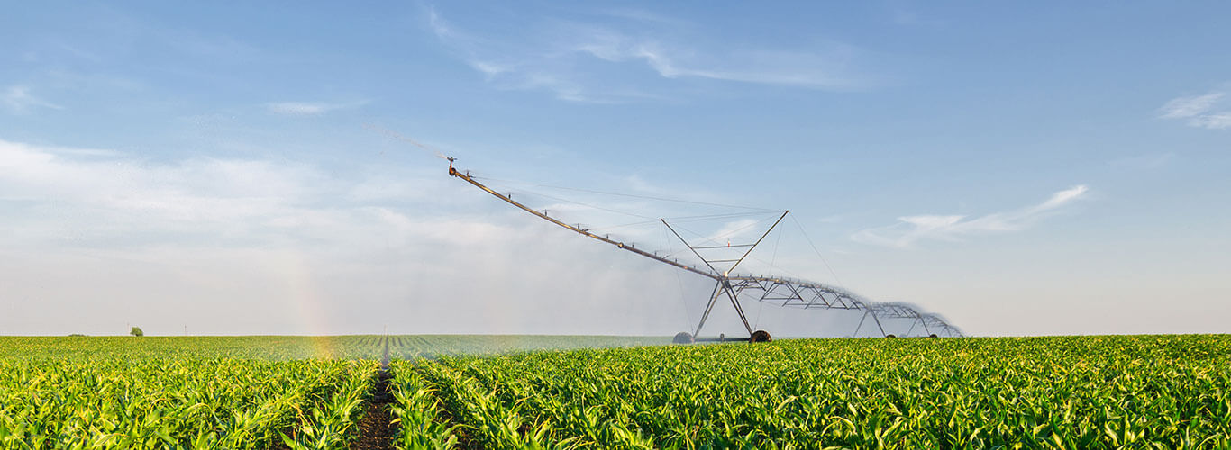 Irrigation Equipment in Field